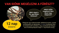AGILIS KKV - Agilis vezetői erő